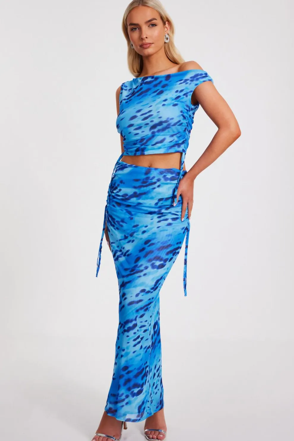 Blue Mesh Animal Print Top