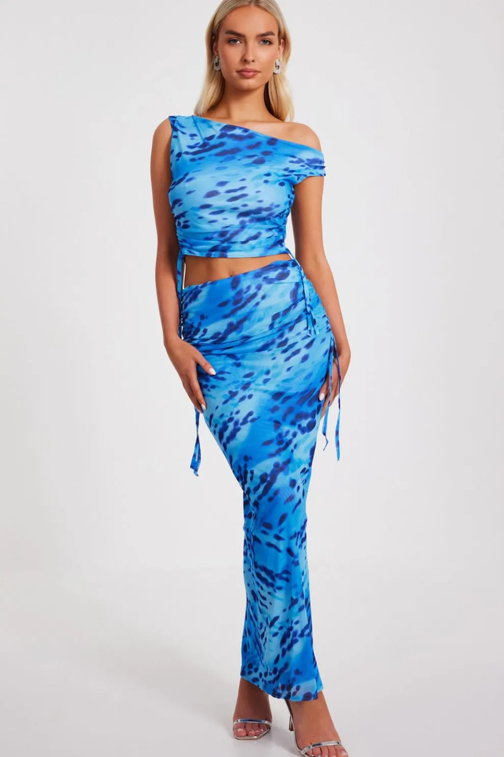 Blue Mesh Animal Print Midaxi Skirt