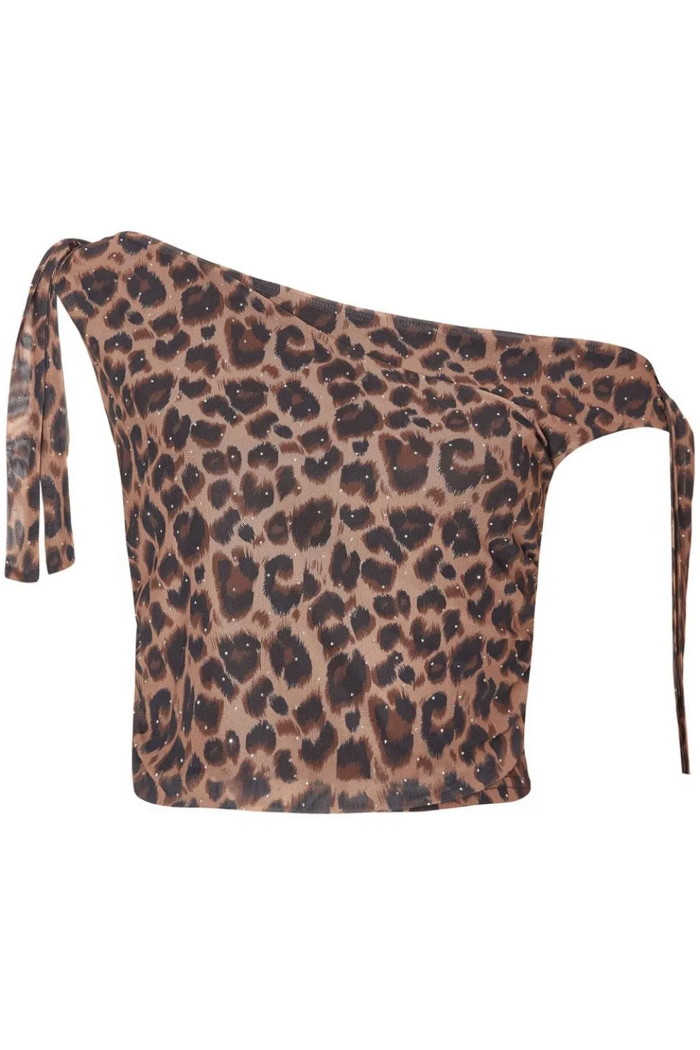 Brown Leopard Print Crop Top