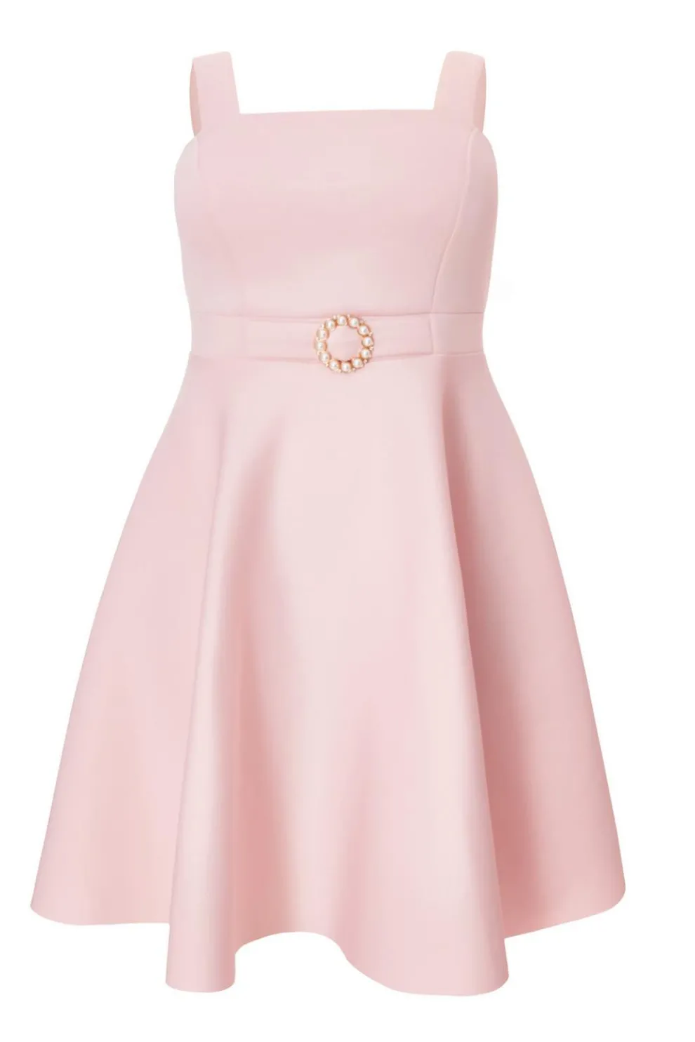 Curve Pink Belted Skater Dress
