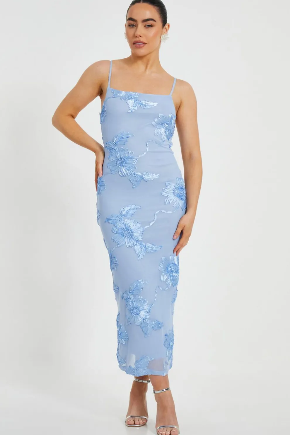 Petite Blue Floral Applique Midaxi Dress