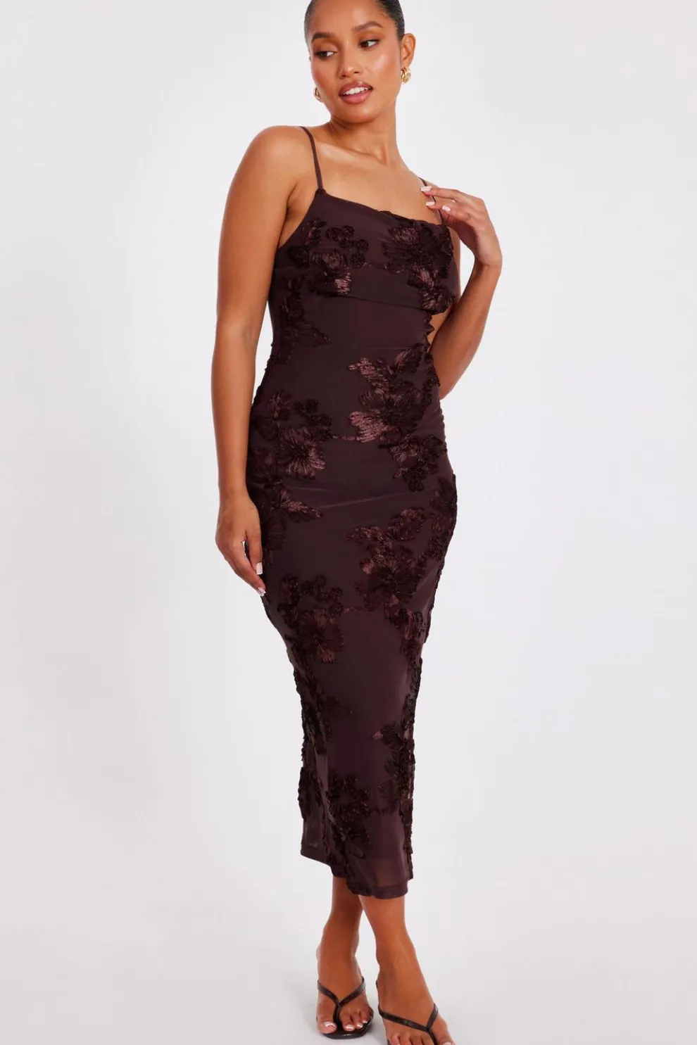 Petite Brown Floral Applique Midaxi Dress